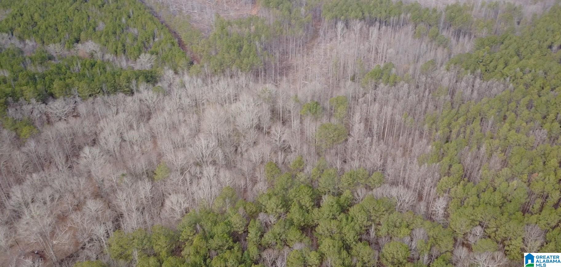 15 County Road 15, Unit 3 92 Heflin, AL 36264 - Photo 1 of 11