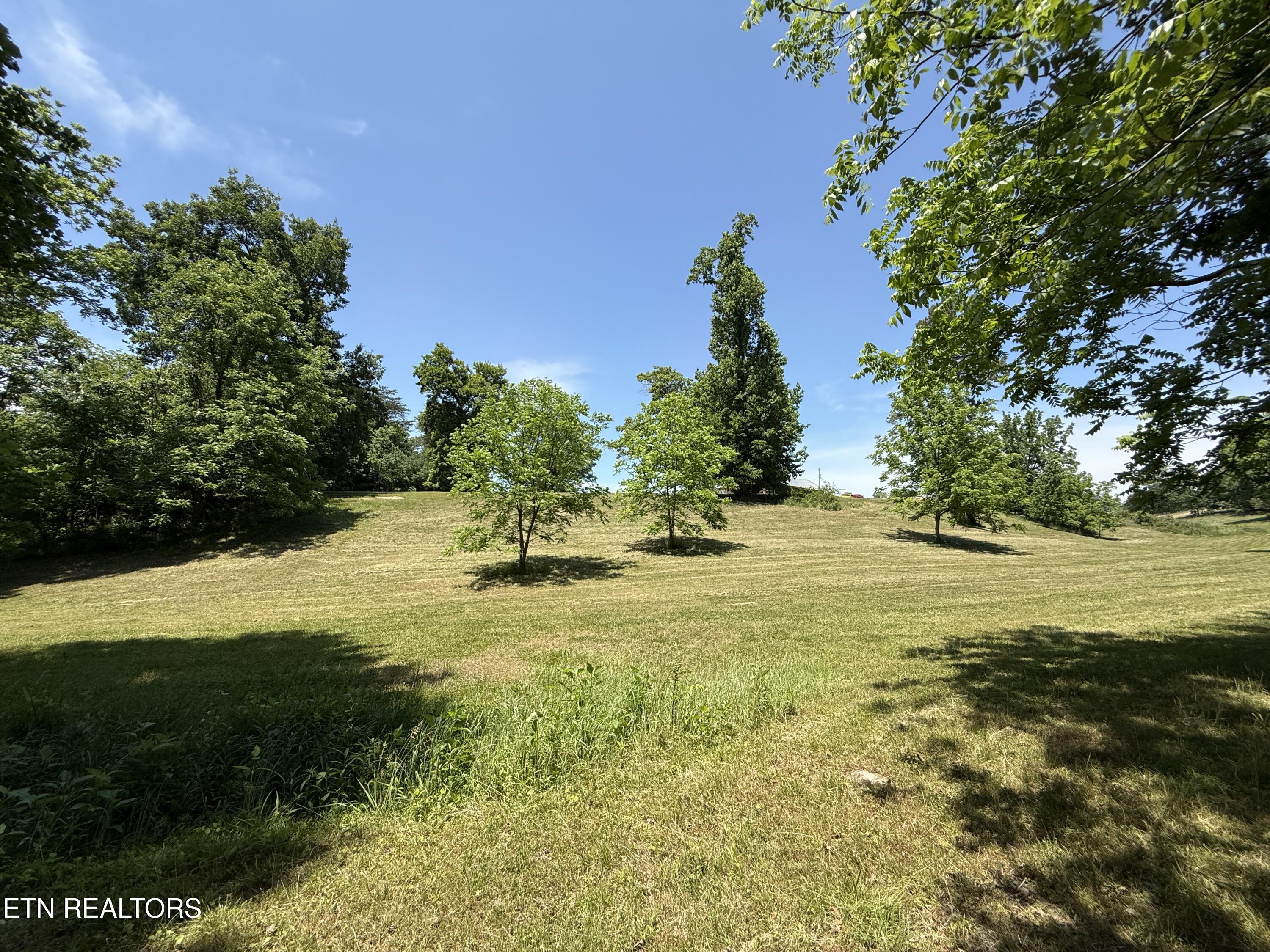 Richland Road Blaine, TN 37709 - Photo 22 of 25 IMG_5467