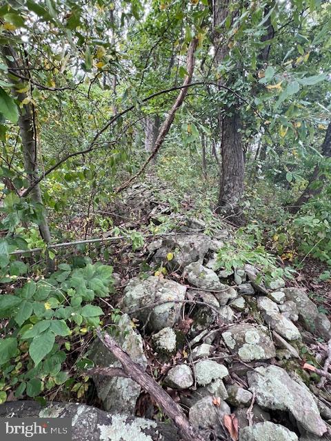 17879 Harbaugh Valley Road Sabillasville, MD 21780 - Photo 63 of 64 1 of many Stone walls found thru out the property