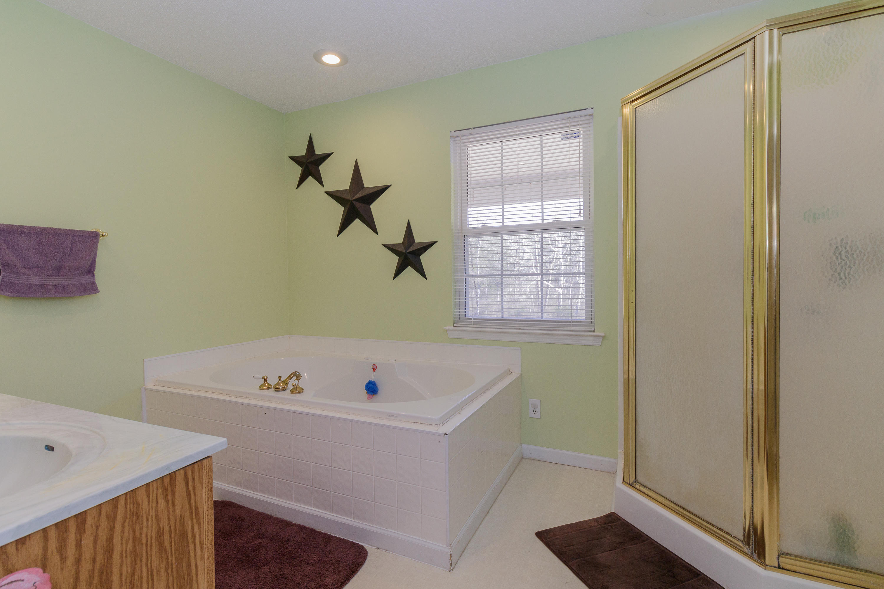 1110 Harrisburg Road LaFayette, GA 30728 - Photo 23 of 54 Master Bathroom