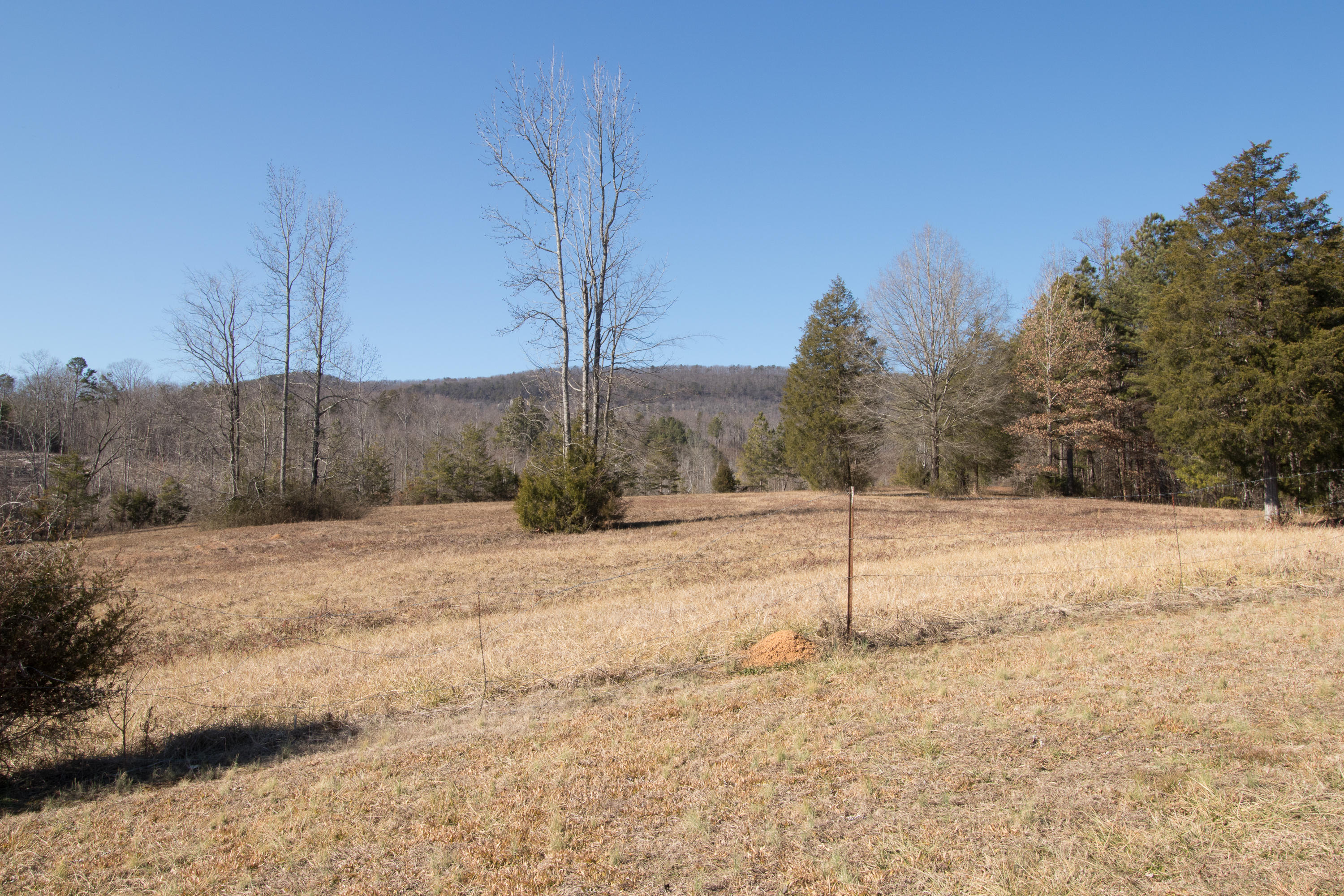 1110 Harrisburg Road LaFayette, GA 30728 - Photo 51 of 54 Mountain Views