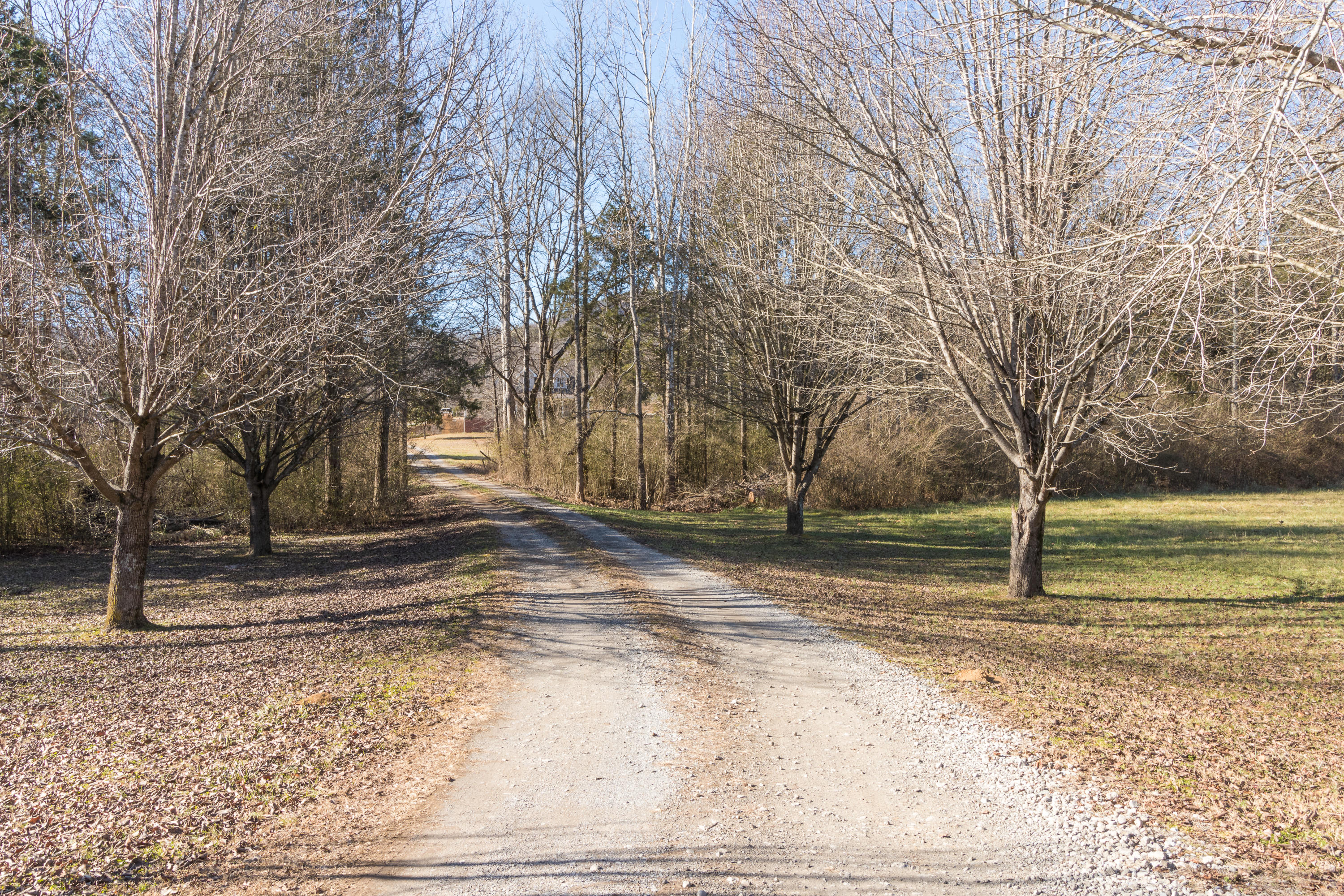 1110 Harrisburg Road LaFayette, GA 30728 - Photo 54 of 54 Driveway