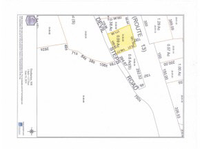 13 Devil Steps Road Dunbarton, NH 03046 - Photo 1 of 1