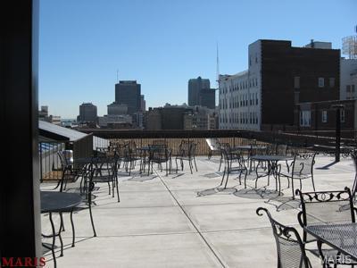 1520 Washington Avenue, Unit 715 St. Louis, MO 63103 - Photo 25 of 28