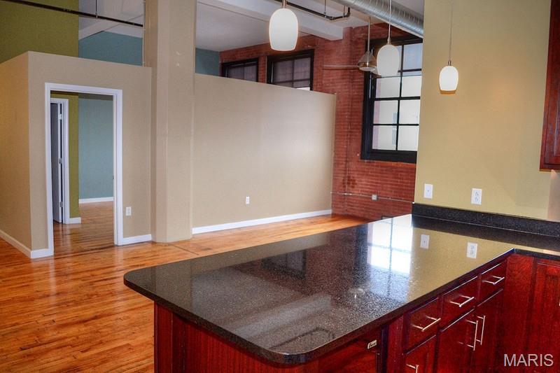 1520 Washington Avenue, Unit 715 St. Louis, MO 63103 - Photo 8 of 28