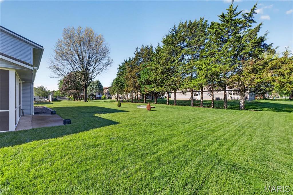 125 Roosevelt Drive Waterloo, IL 62298 - Photo 27 of 35