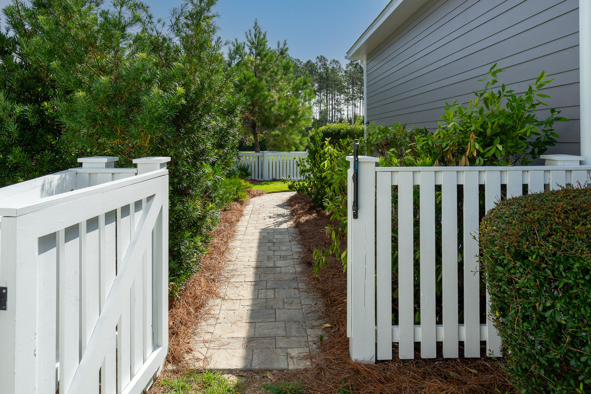 229 Sandchase Circle Inlet Beach, FL 32461 - Photo 10 of 107 Exterior - Side Walkway