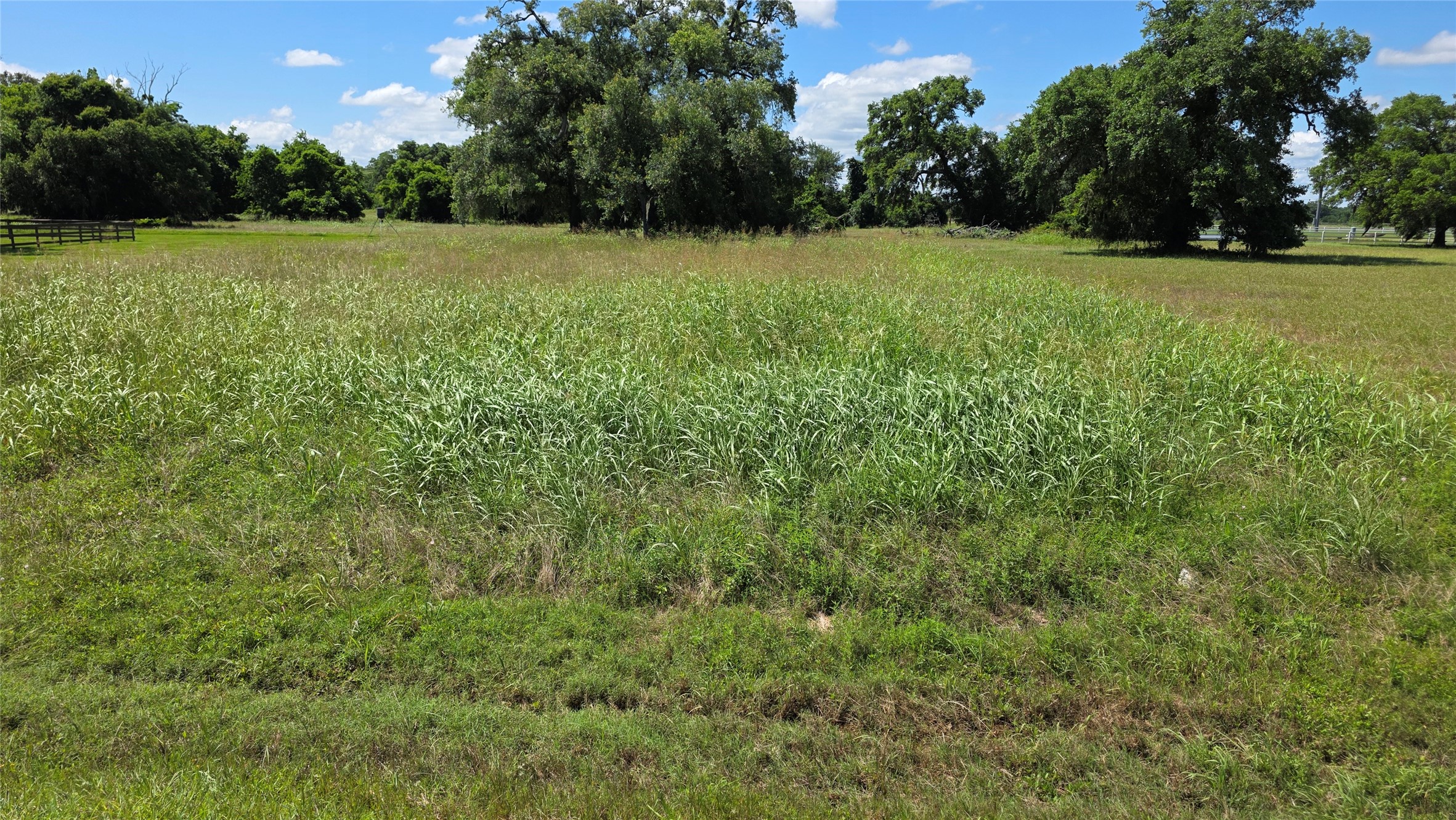 235 Cattle Drive Trail Angleton, TX 77515 - Photo 1 of 8 a view of a green field