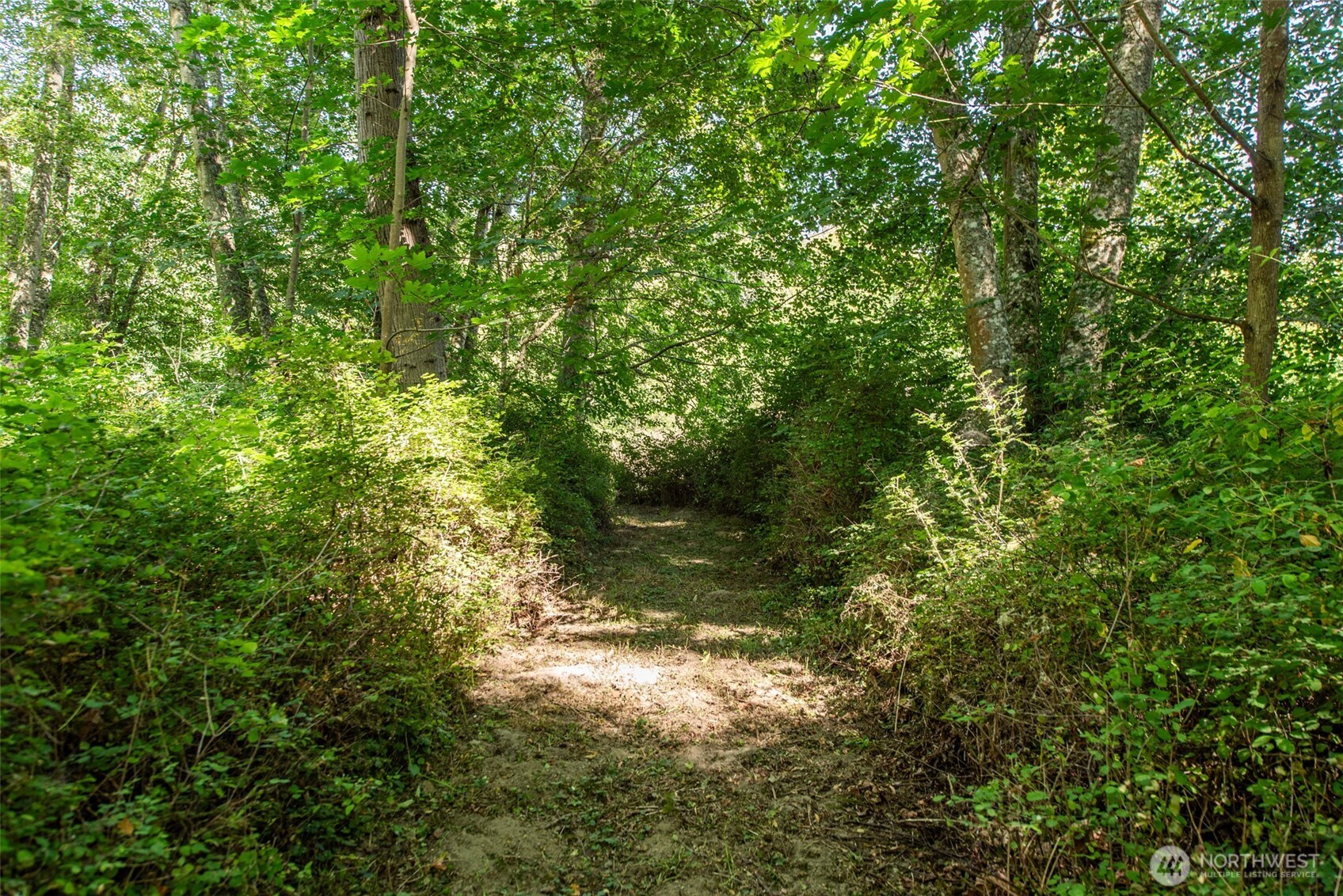541 Grandview Drive Sequim, WA 98382 - Photo 7 of 40