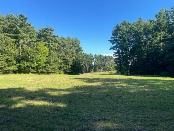 a view of a green yard with a house