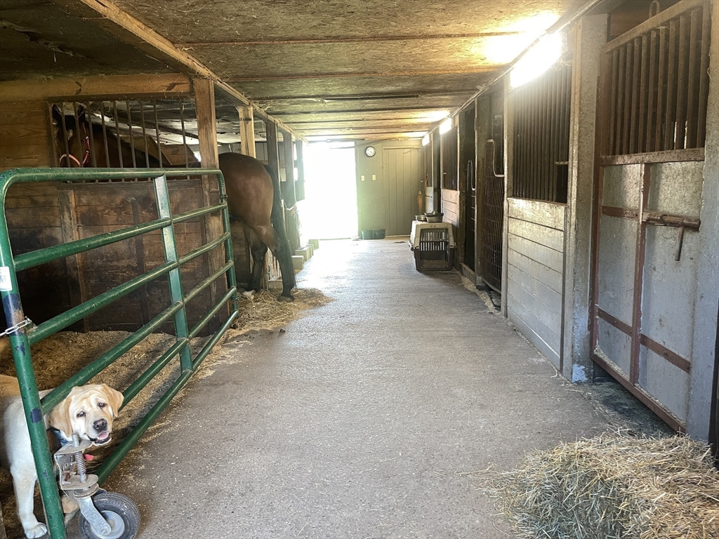 295 Cherry Street Middleboro, MA 02346 - Photo 11 of 41 a view of walk in closet with empty racks
