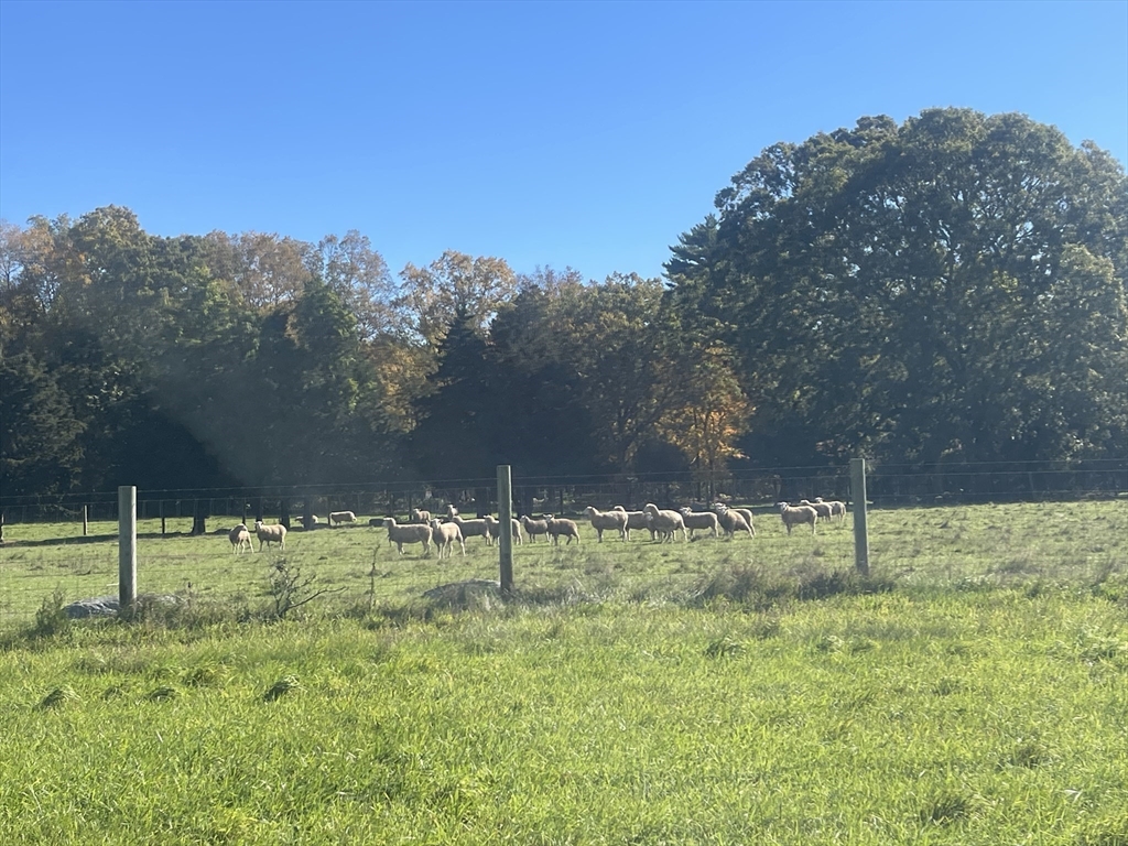 295 Cherry Street Middleboro, MA 02346 - Photo 16 of 36