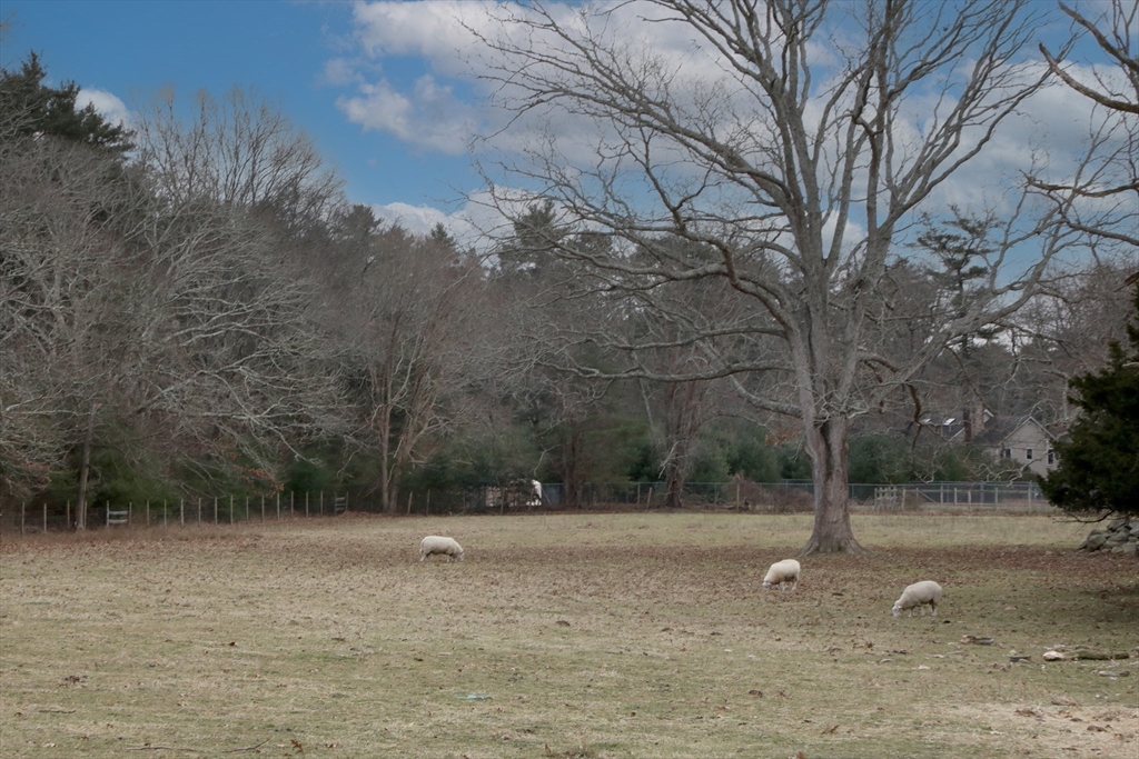 295 Cherry Street Middleboro, MA 02346 - Photo 17 of 36