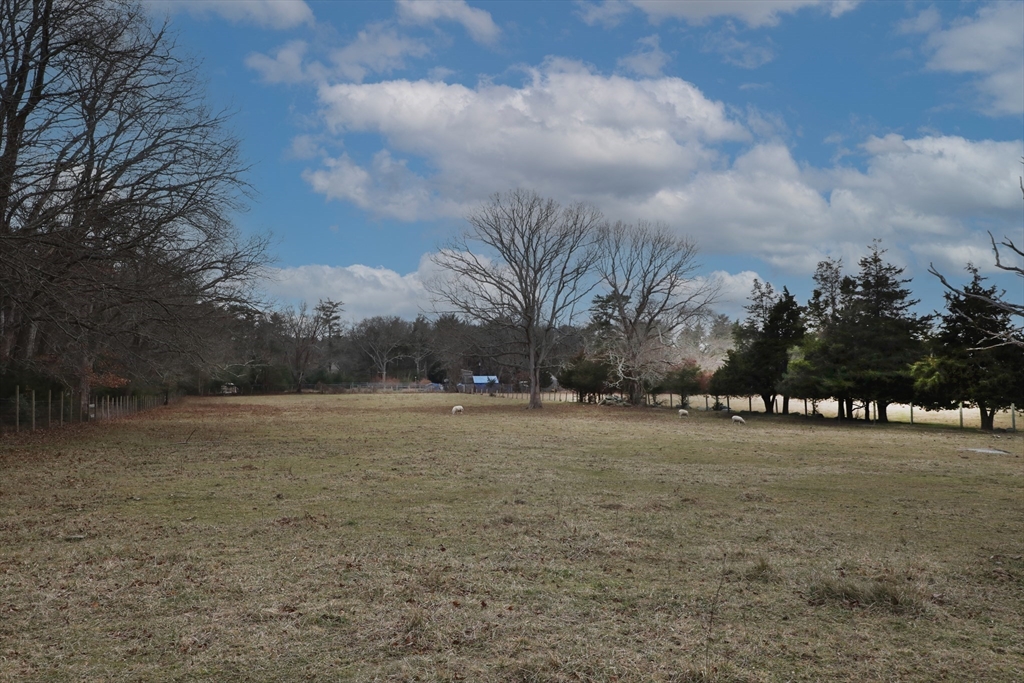 295 Cherry Street Middleboro, MA 02346 - Photo 17 of 41 a view of dirt field with large trees