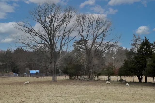 a living room with furniture a window and wooden floor
