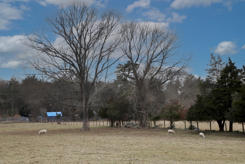 295 Cherry Street Middleboro, MA 02346 - Photo 18 of 41 a view of outdoor space with patio