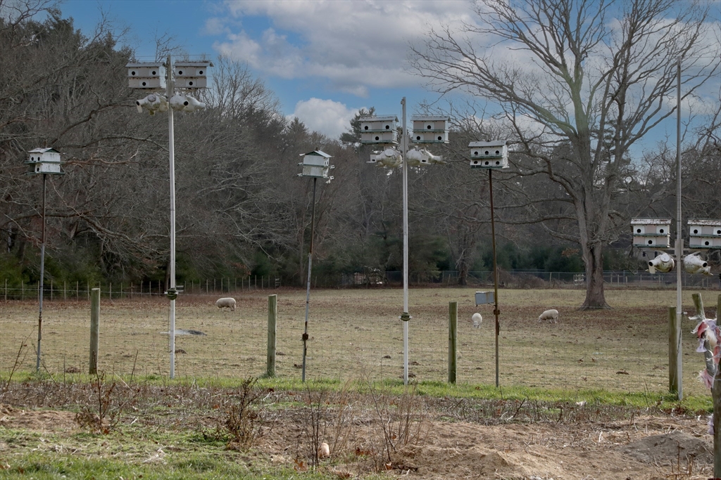 295 Cherry Street Middleboro, MA 02346 - Photo 22 of 36