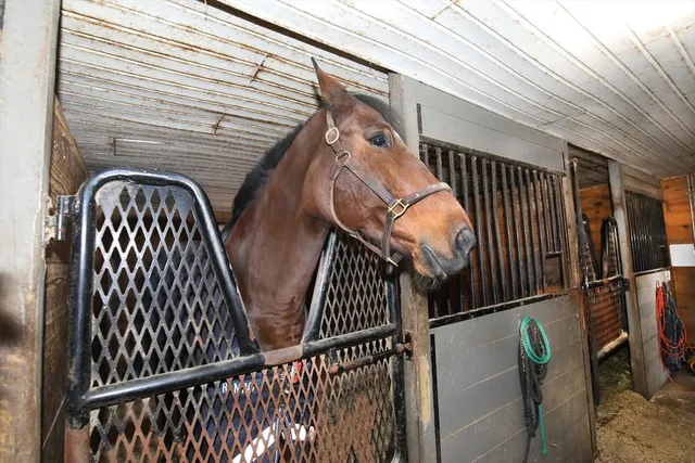 $1,200,000 | 295 Cherry Street, Middleboro, MA 02346