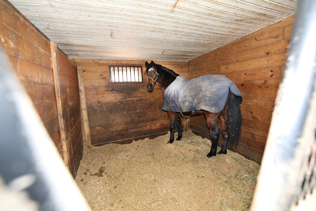 295 Cherry Street Middleboro, MA 02346 - Photo 25 of 41