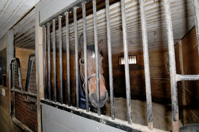 $1,200,000 | 295 Cherry Street, Middleboro, MA 02346