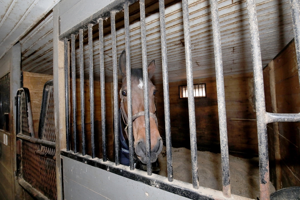 295 Cherry Street Middleboro, MA 02346 - Photo 26 of 41