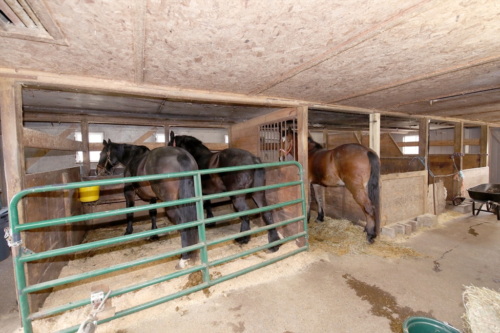 295 Cherry Street Middleboro, MA 02346 - Photo 28 of 41 a view of storage and utility room