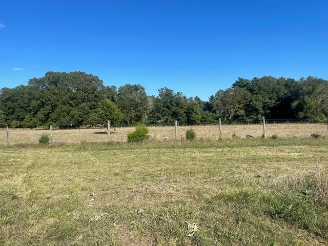 a view of a house with a big yard and large trees