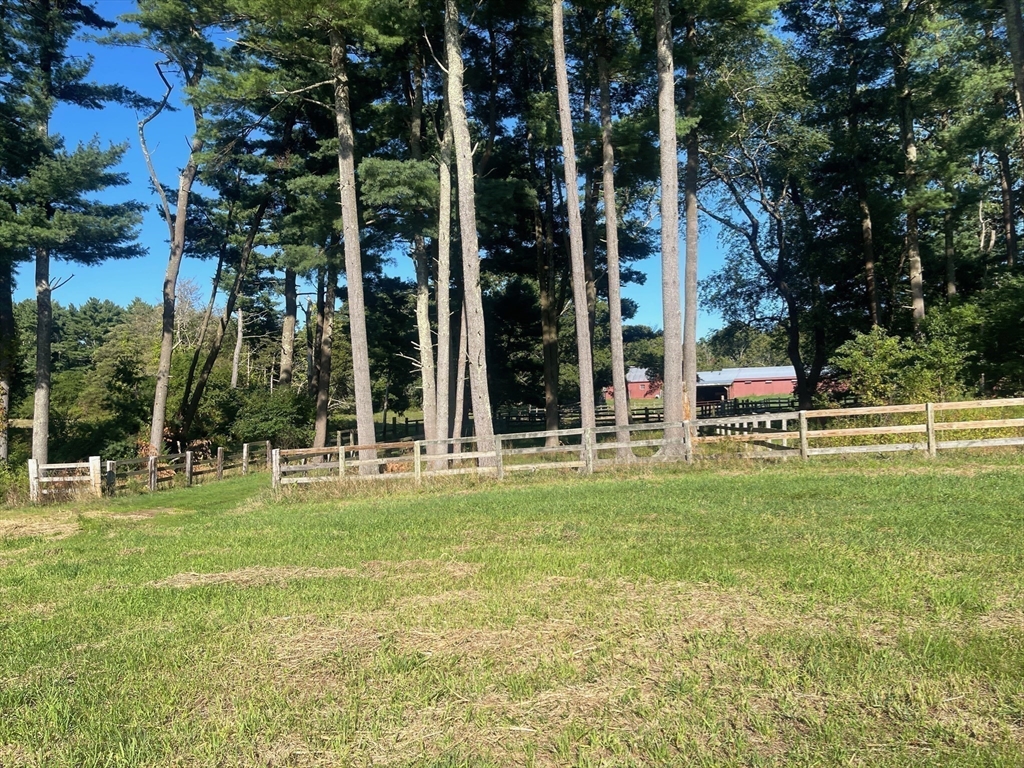 295 Cherry Street Middleboro, MA 02346 - Photo 9 of 41 a view of a house with a big yard and large trees