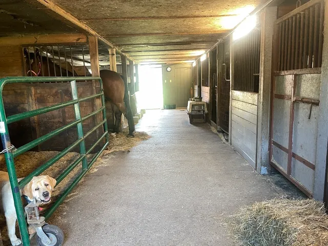 a view of outdoor space with patio