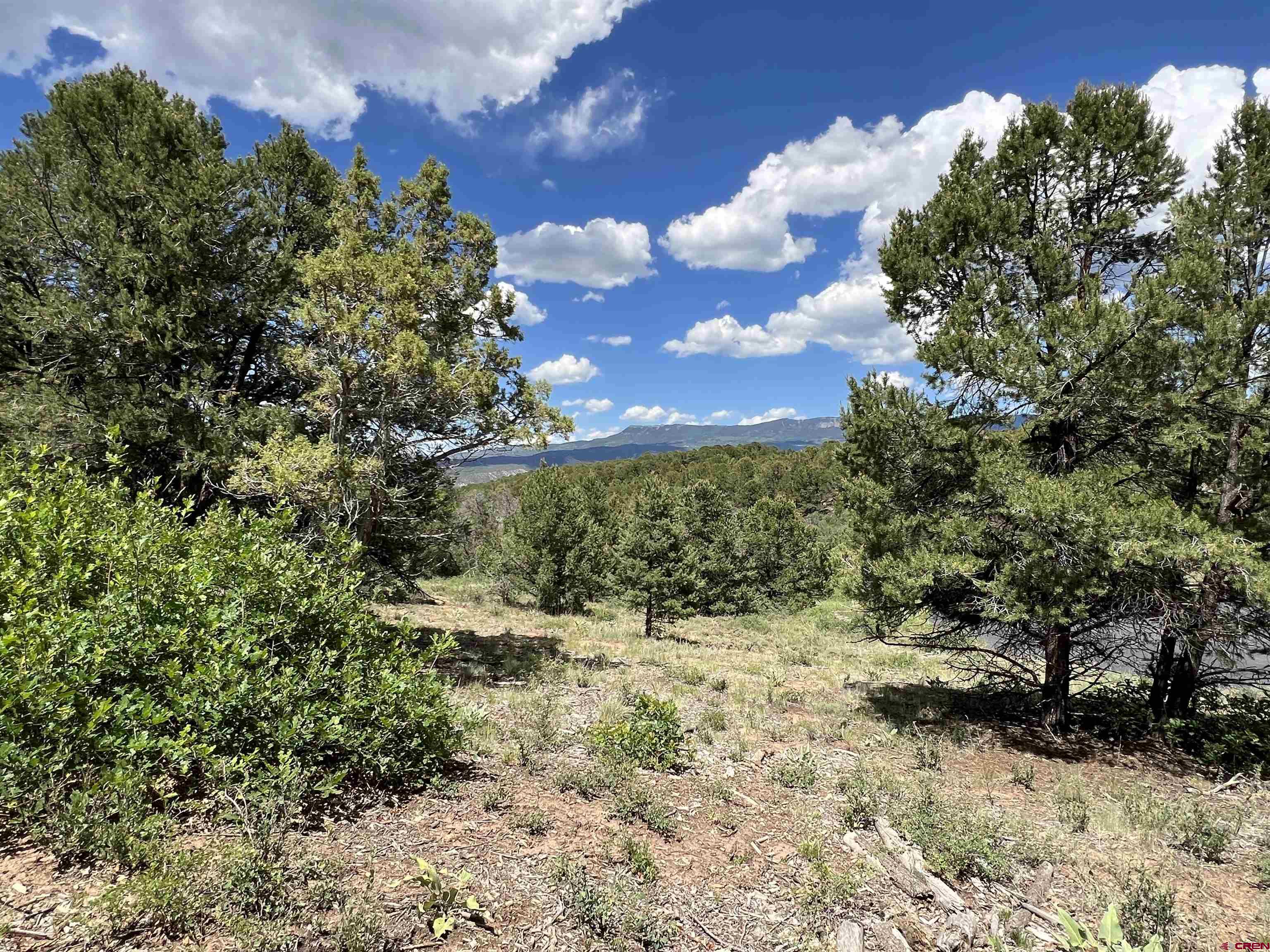 Lot 9 Pointe Escape Drive Ridgway, CO 81432 - Photo 19 of 33
