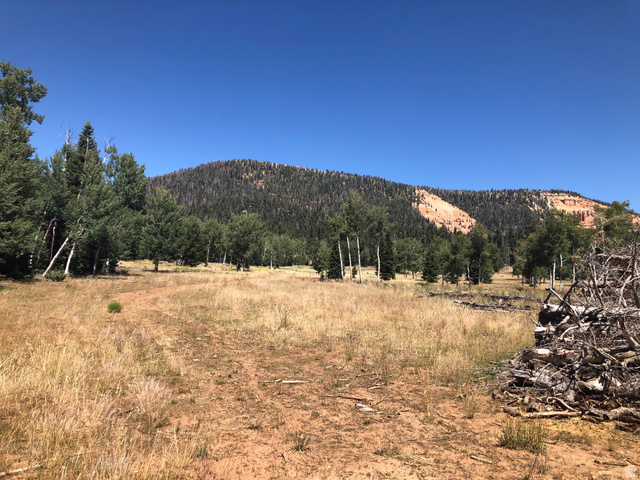 North Fork Road South Duck Creek Village, UT 84762 - Photo 8 of 17 Mountain view with rural landscape and a forest