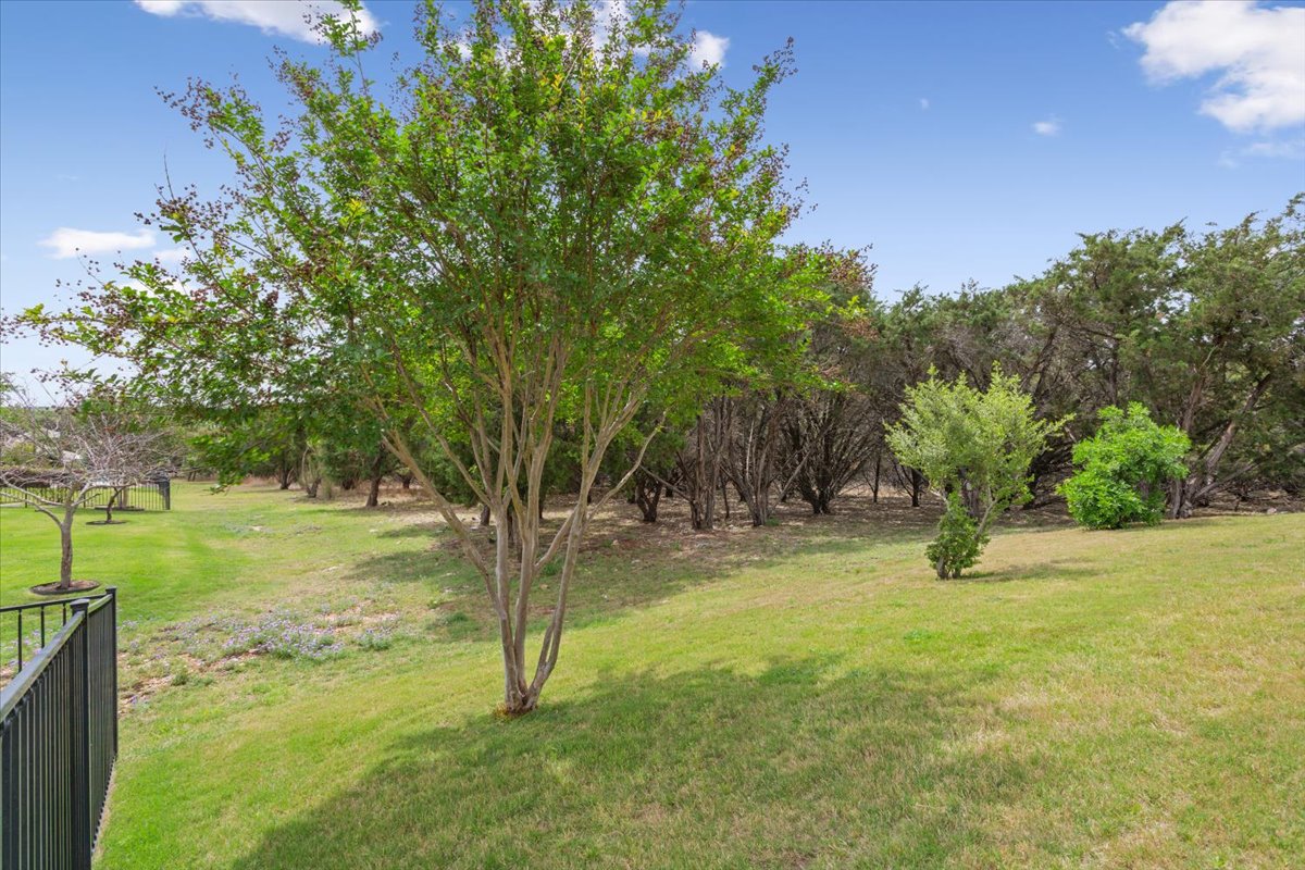 905 Mount Locke Court Georgetown, TX 78633 - Photo 33 of 36 a view of yard with tree in the background