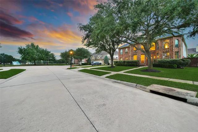 a view of a park with large trees