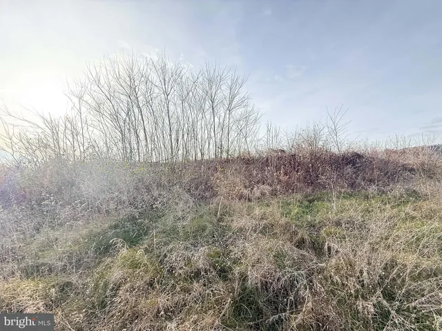 a view of a lake view with lots of trees