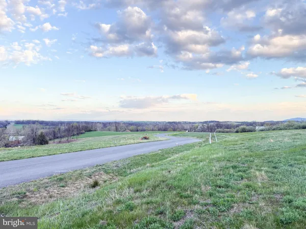 a view of a field of grass and trees