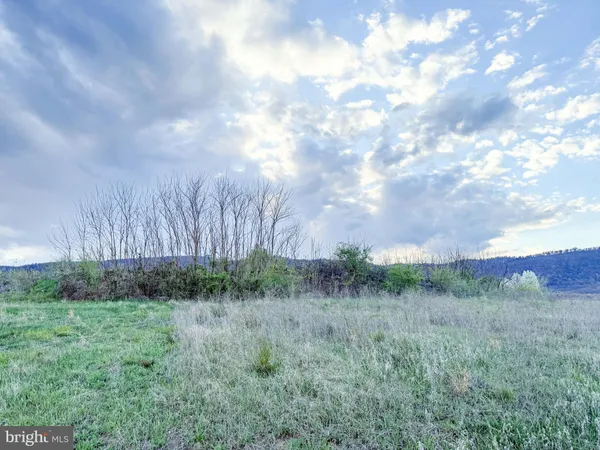 a view of a field of grass and trees