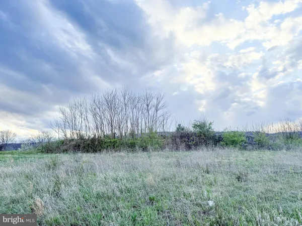 a view of a yard