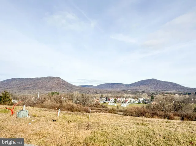 a view of a dry yard