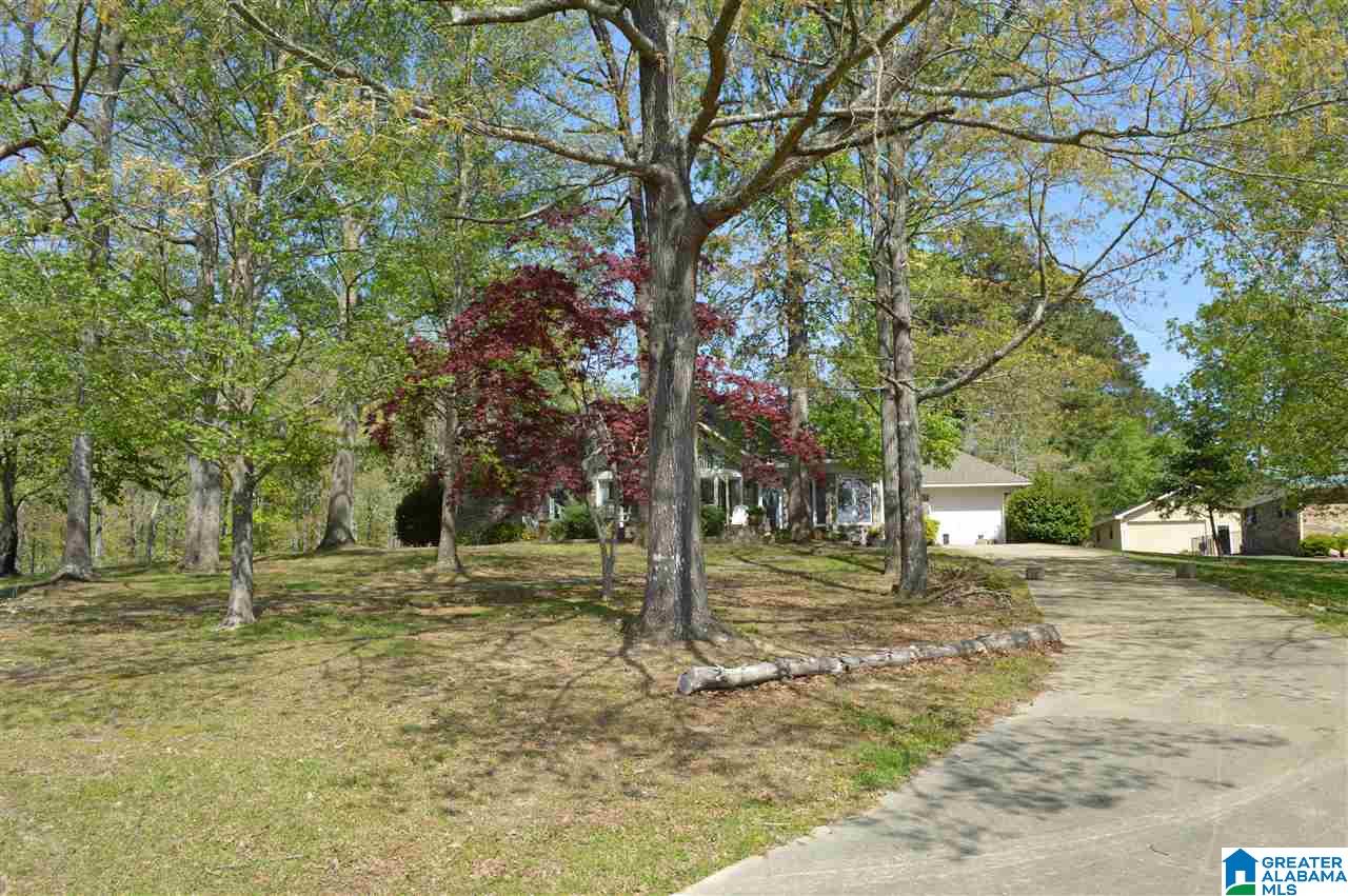 152 County Road 277 Cullman, AL 35057 - Photo 30 of 38