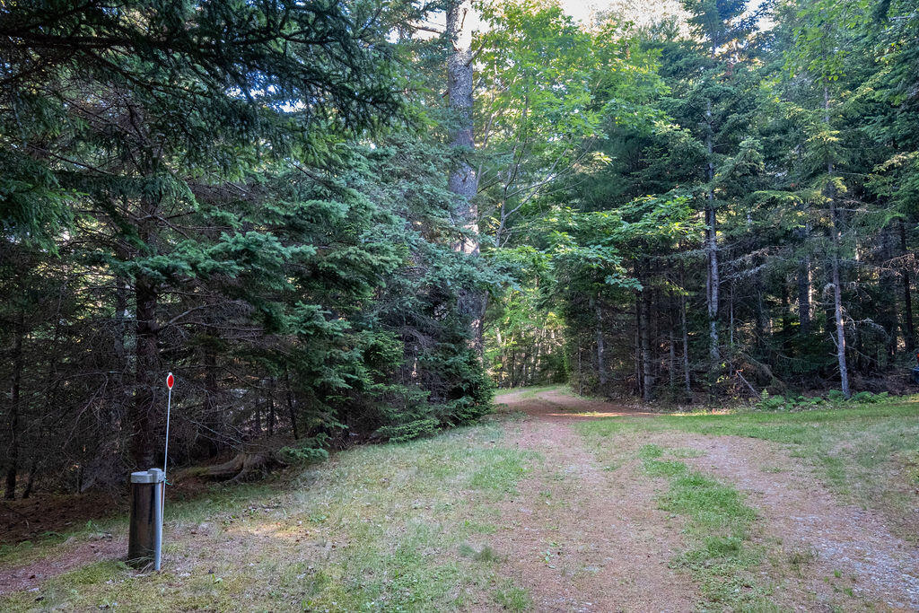 0 Inner Hbr Road Stonington, ME 04681 - Photo 45 of 50 InnerHarborcamp-47