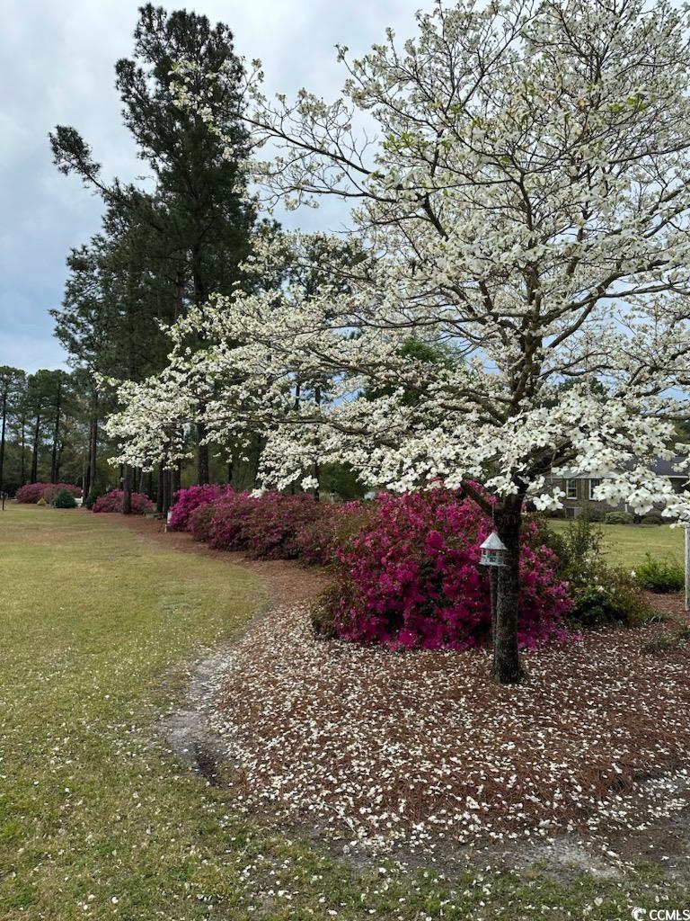 1727 2nd Street Loris, SC 29569 - Photo 30 of 40 Gallery Image 30