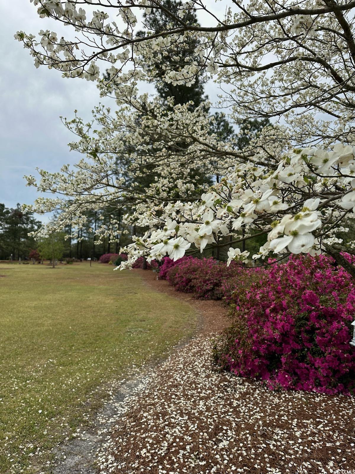 1727 2nd Street Loris, SC 29569 - Photo 31 of 40 Gallery Image 31