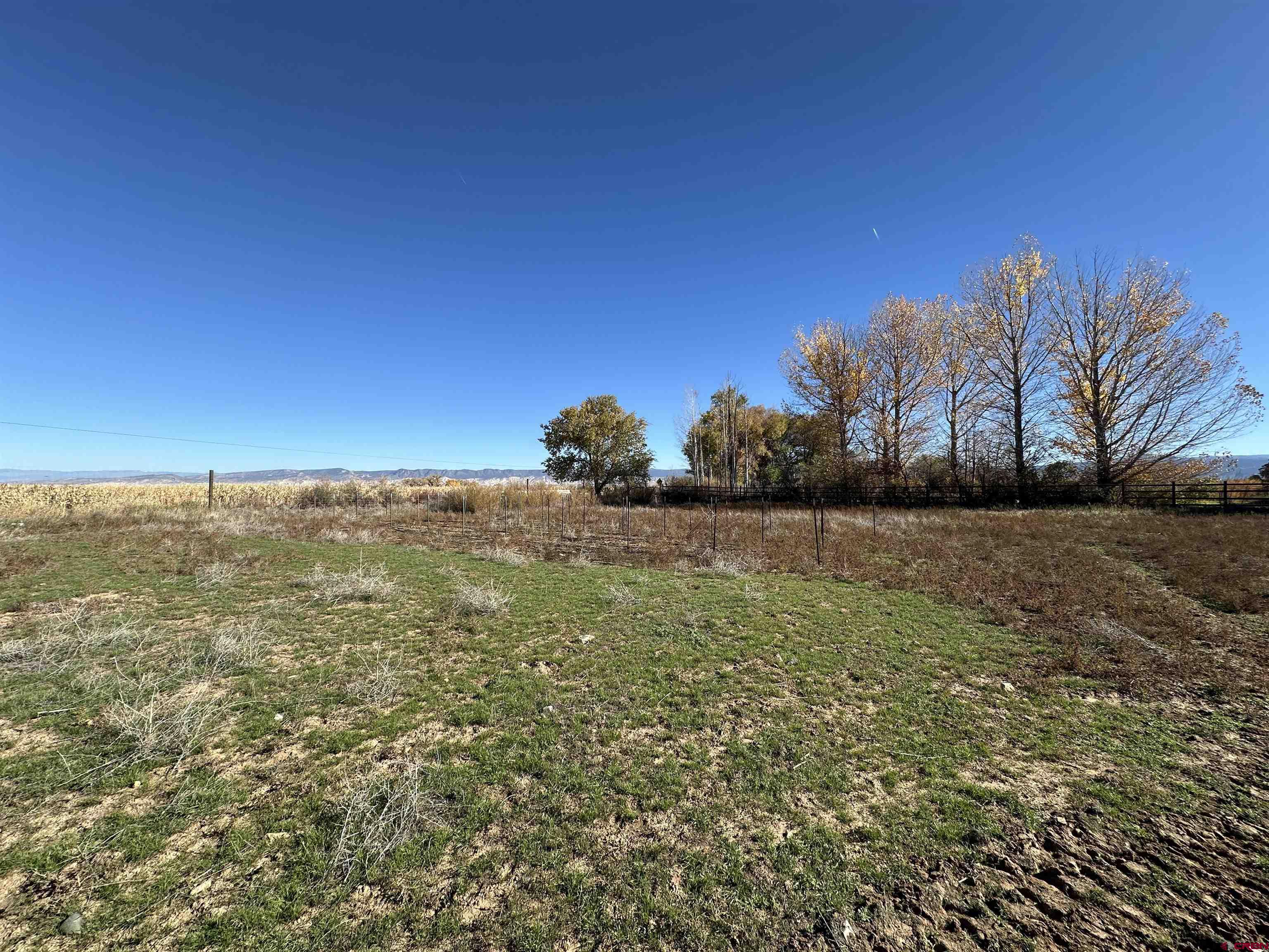 63652 Ranger Road Montrose, CO 81403 - Photo 41 of 43 Gallery Image 41