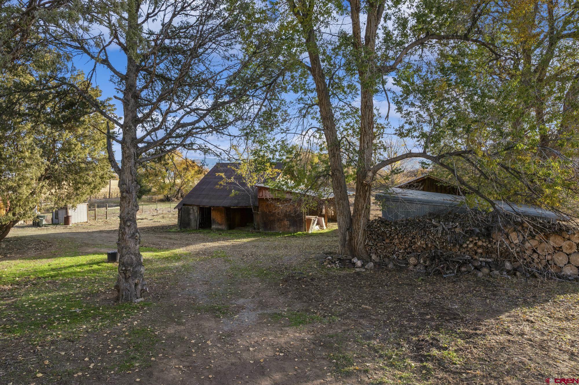 63652 Ranger Road Montrose, CO 81403 - Photo 8 of 43 Gallery Image 8