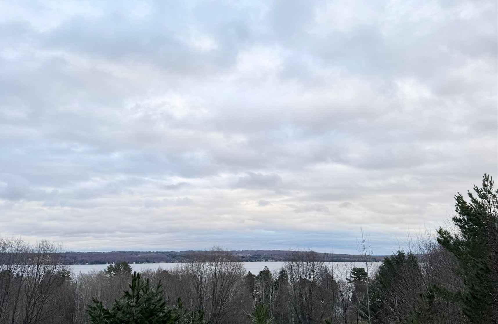 0 East Hidden Beach Road Cedar, MI 49621 - Photo 9 of 10