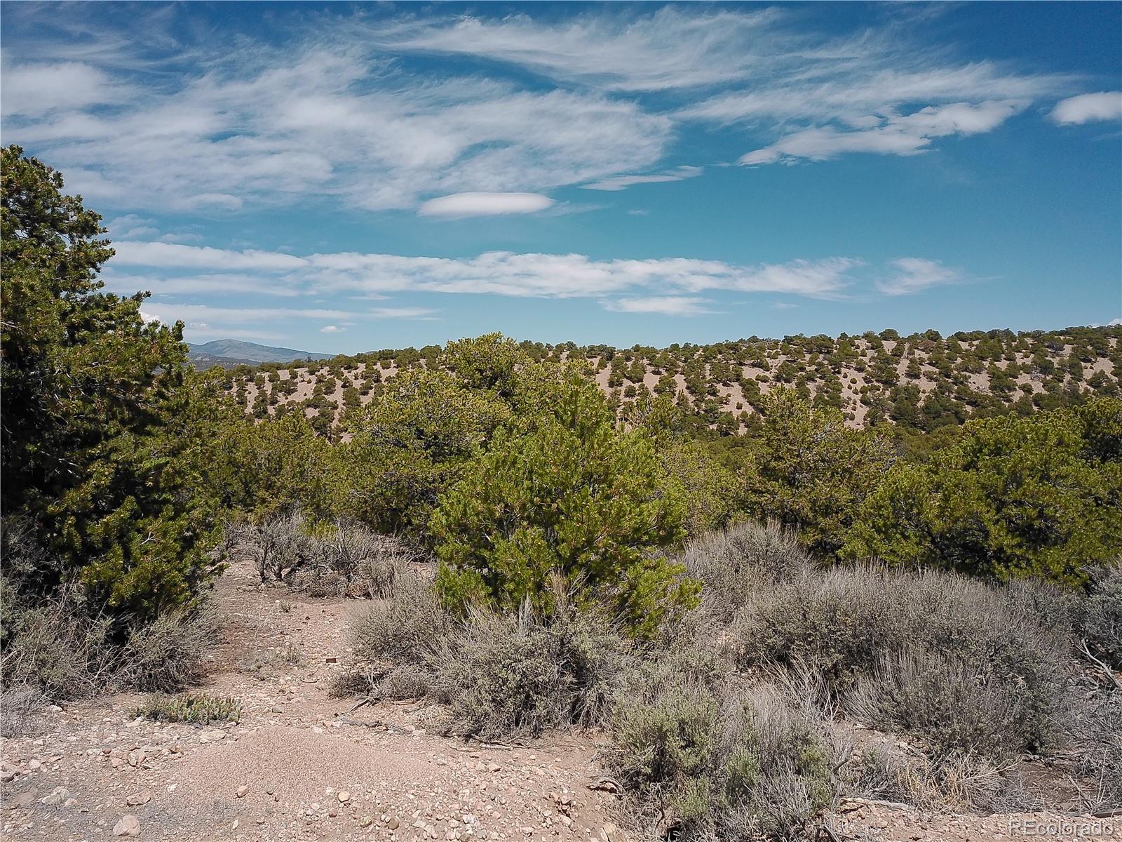Andrus Road Fort Garland, CO 81133 - Photo 3 of 6