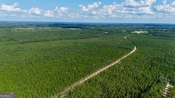 a view of a lush green forest with an ocean view