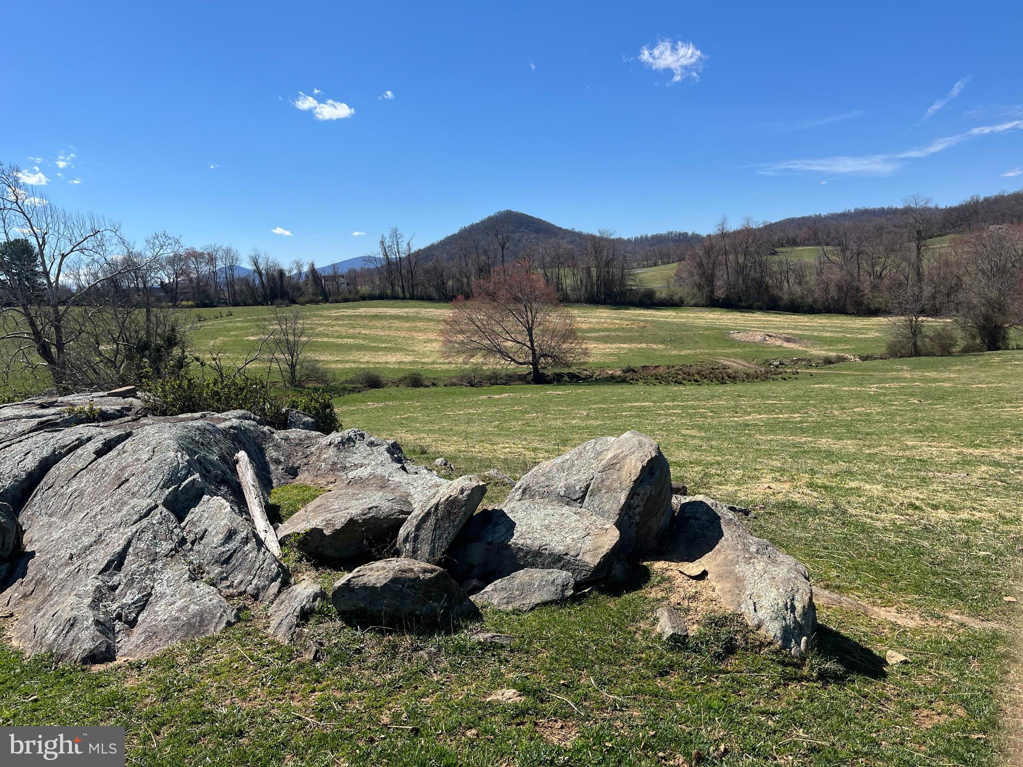Hume Road Hume, VA 22639 - Photo 2 of 2 a view of a lake with a yard