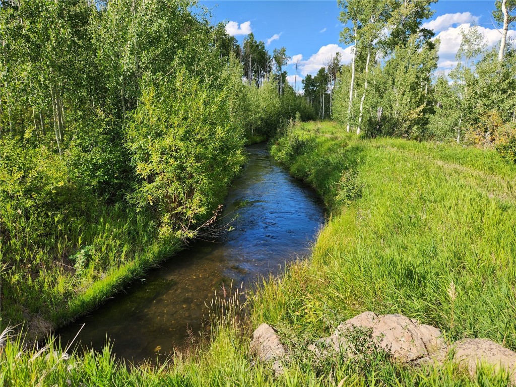 52002 County Road 8 Hamilton, CO 81638 - Photo 13 of 37 a view of a garden