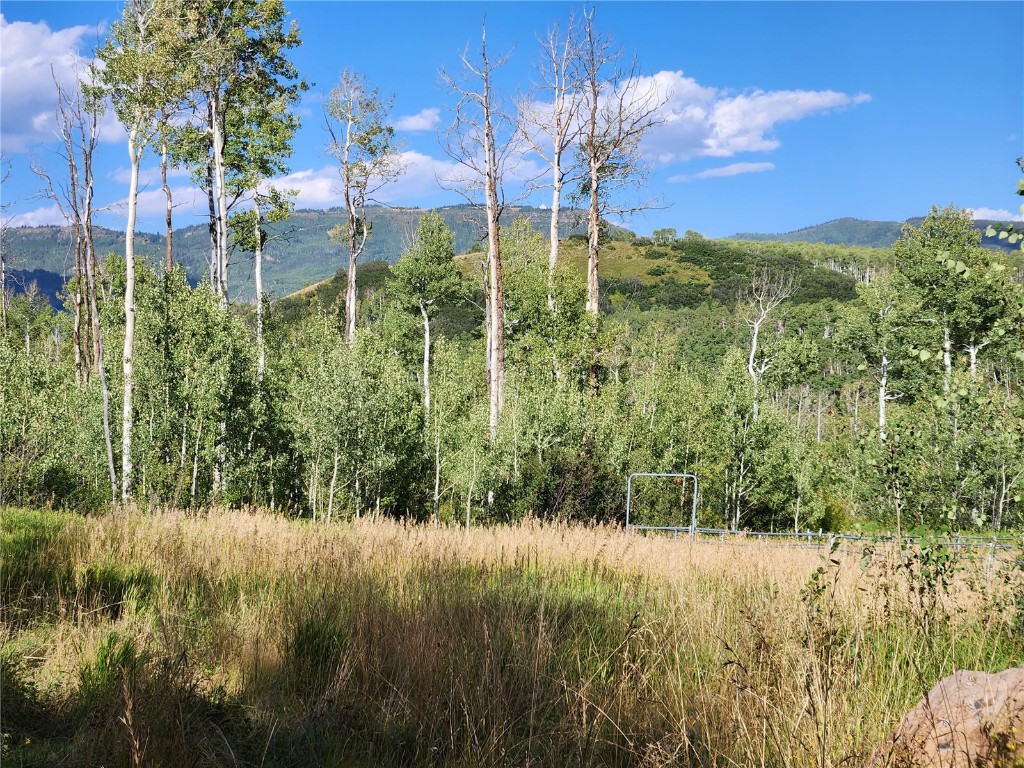 52002 County Road 8 Hamilton, CO 81638 - Photo 18 of 37 a view of lake view